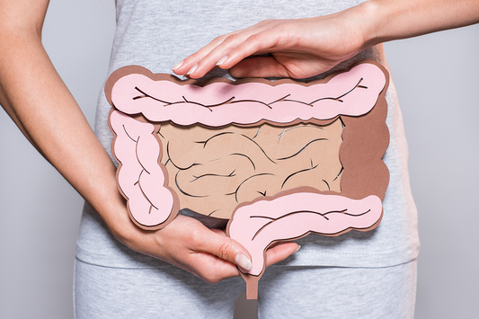 How To Improve Gut Health