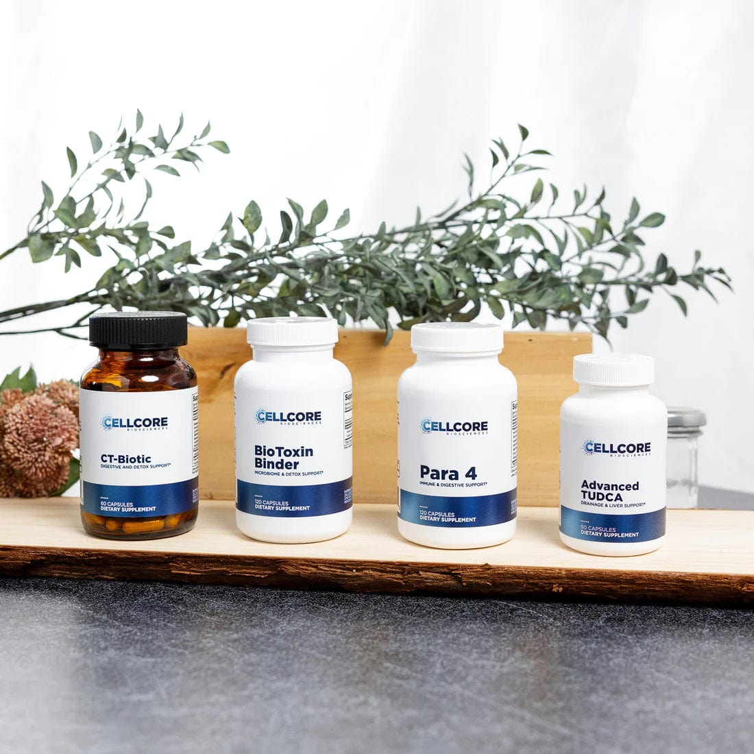 CellCore Biosciences Nutritional Stomach Support Kit by CellCore Biosciences