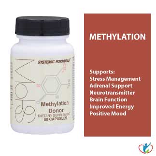 Systemic Formulas Test Kit Meta-Oxy Solution (Reduce Inflammation) by Systemic Formulas