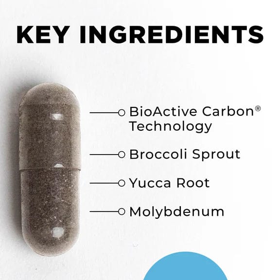 BioToxin Binder by CellCore Biosciences