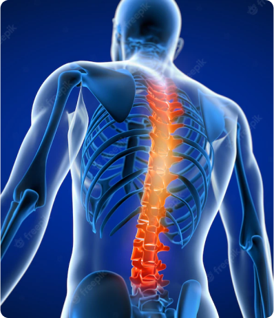 Healthy Beings - Strengthening Spine Neck and Back MedX Improved Performance